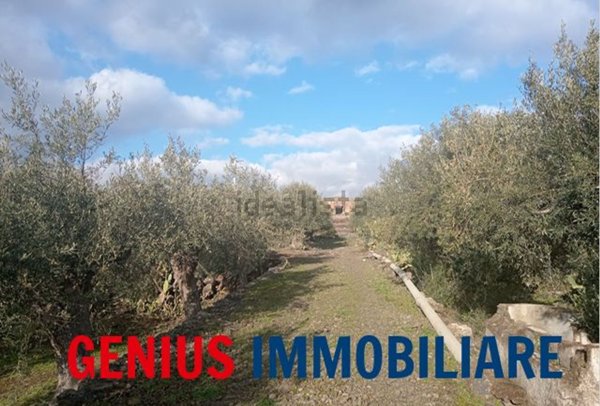 rudere in vendita a Biancavilla