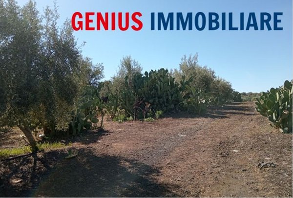 terreno agricolo in vendita a Biancavilla