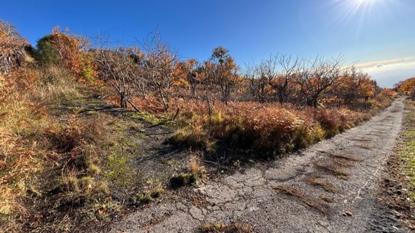 appartamento in vendita a Biancavilla