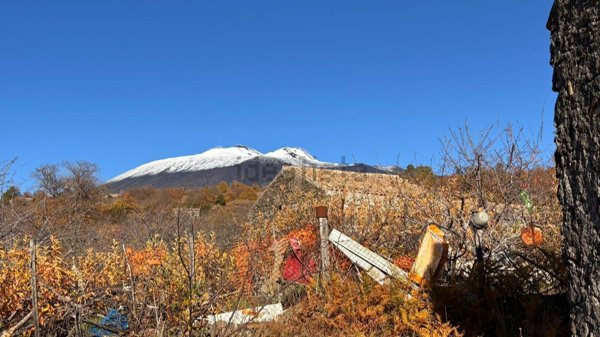 appartamento in vendita a Biancavilla
