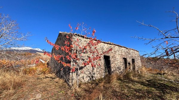 appartamento in vendita a Biancavilla