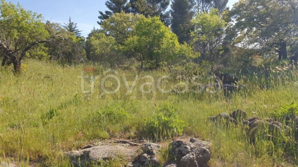 terreno agricolo in vendita a Biancavilla