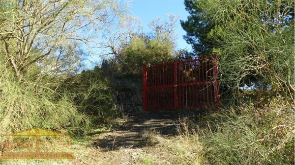 appartamento in vendita a Biancavilla