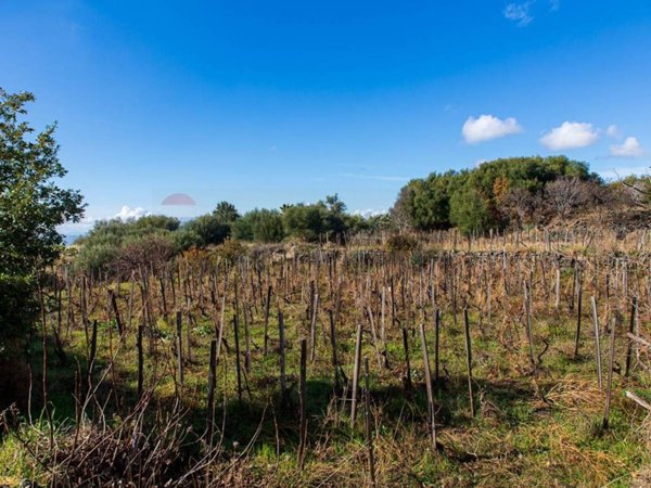 terreno agricolo in vendita a Biancavilla