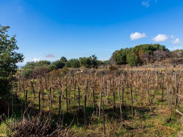 terreno agricolo in vendita a Biancavilla