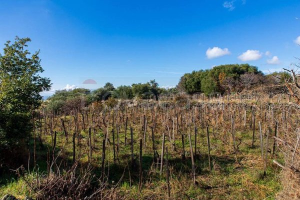 terreno agricolo in vendita a Biancavilla