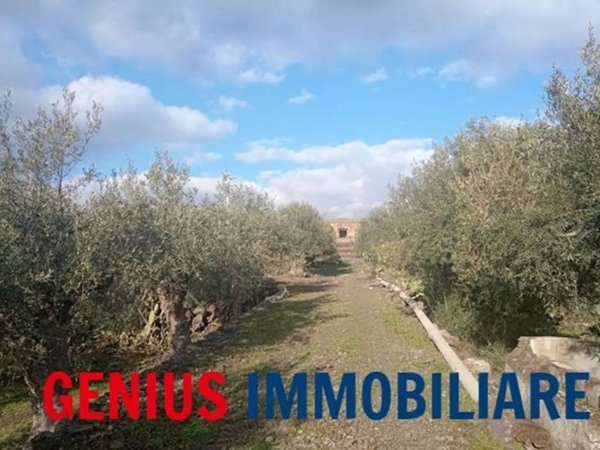 terreno agricolo in vendita a Biancavilla