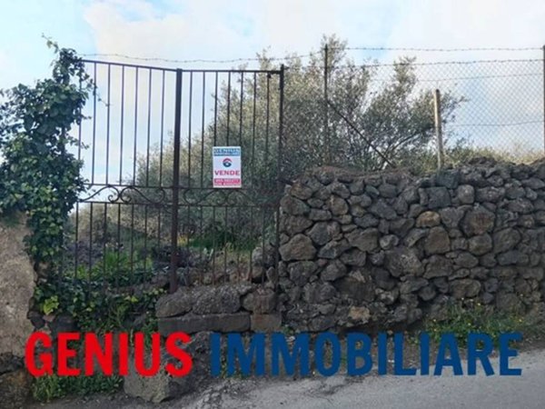 terreno agricolo in vendita a Biancavilla