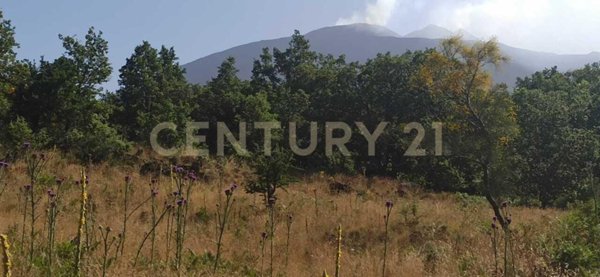 appartamento in vendita a Biancavilla