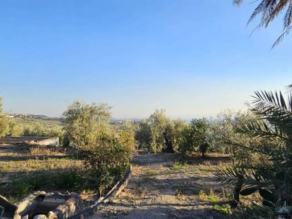 terreno agricolo in vendita a Biancavilla