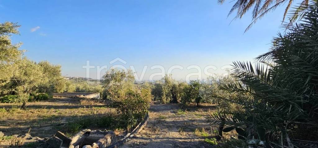 terreno agricolo in vendita a Biancavilla