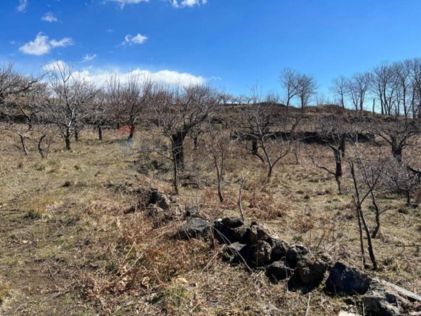 terreno agricolo in vendita a Biancavilla