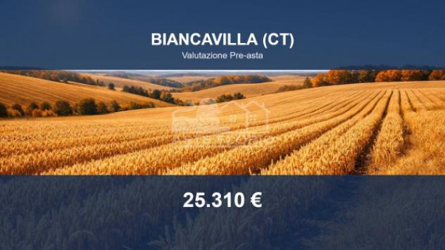 terreno agricolo in vendita a Biancavilla