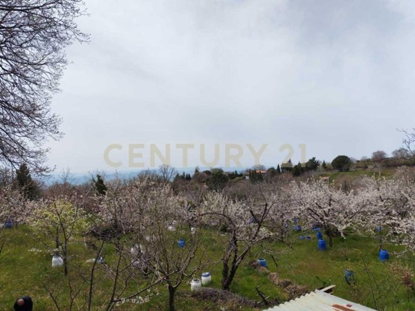 appartamento in vendita a Biancavilla