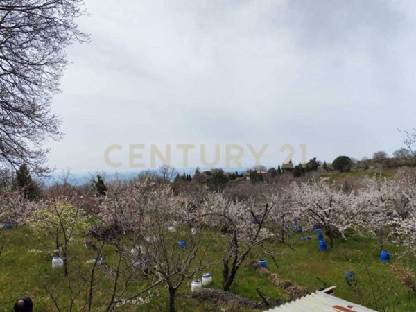 appartamento in vendita a Biancavilla