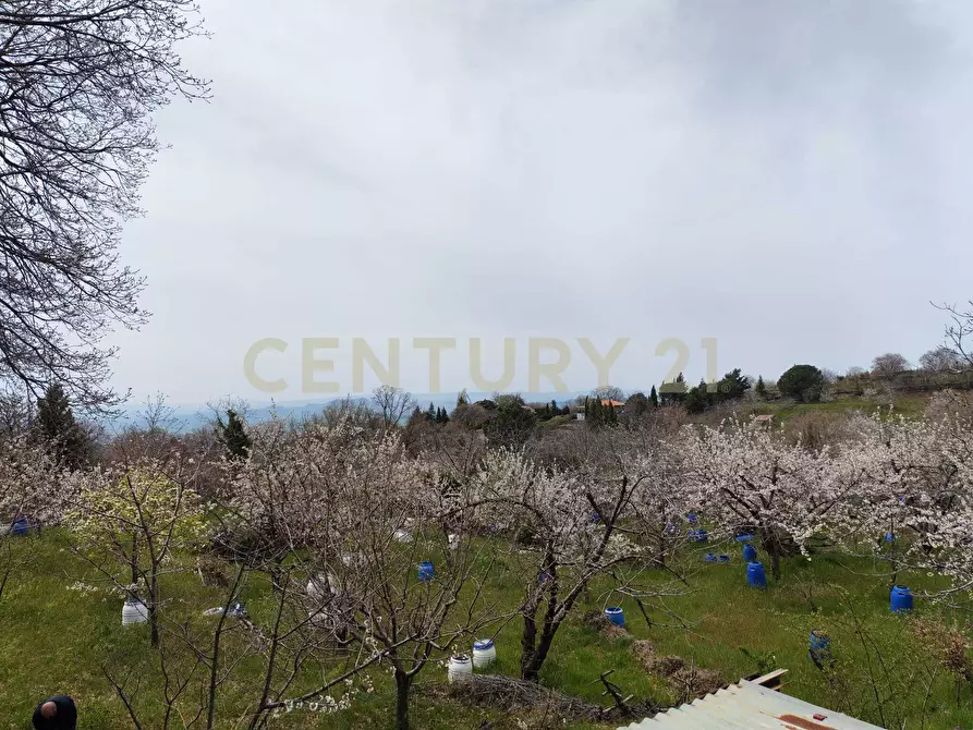 appartamento in vendita a Biancavilla