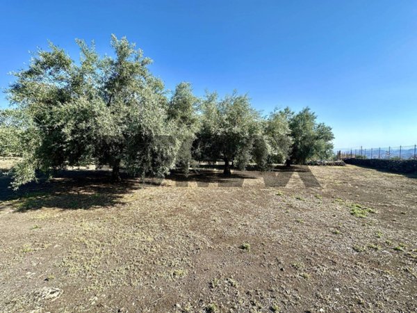 terreno agricolo in vendita a Biancavilla