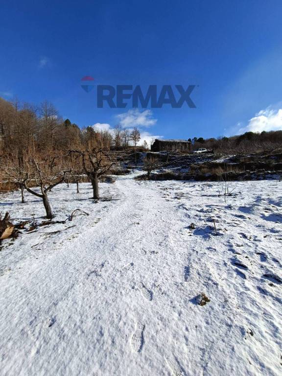 terreno agricolo in vendita a Biancavilla