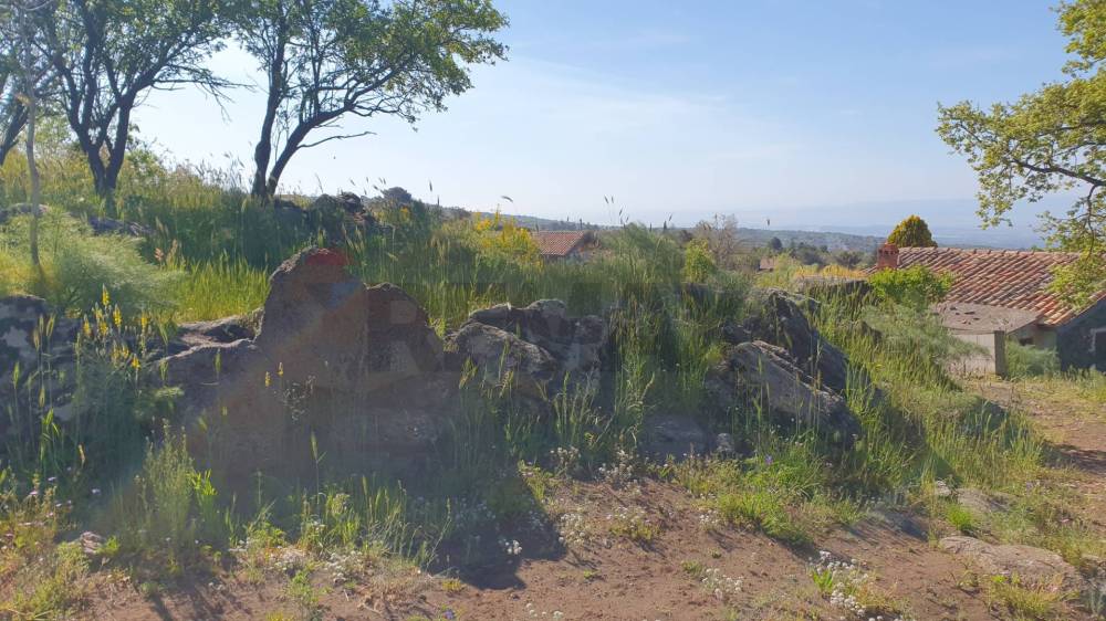 terreno agricolo in vendita a Biancavilla