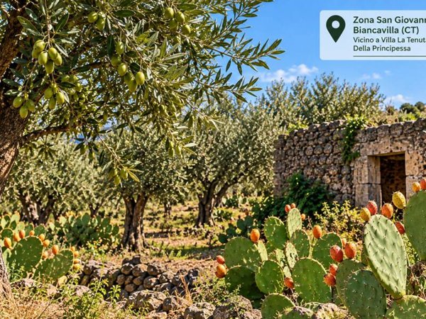 terreno agricolo in vendita a Biancavilla