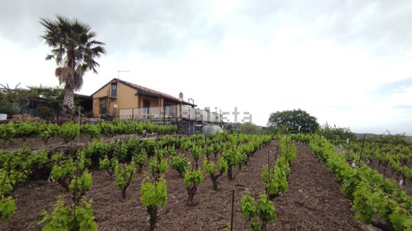 terreno in vendita a Biancavilla