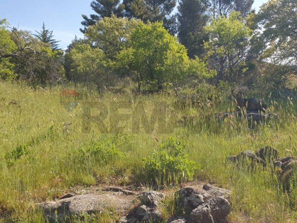 terreno agricolo in vendita a Biancavilla