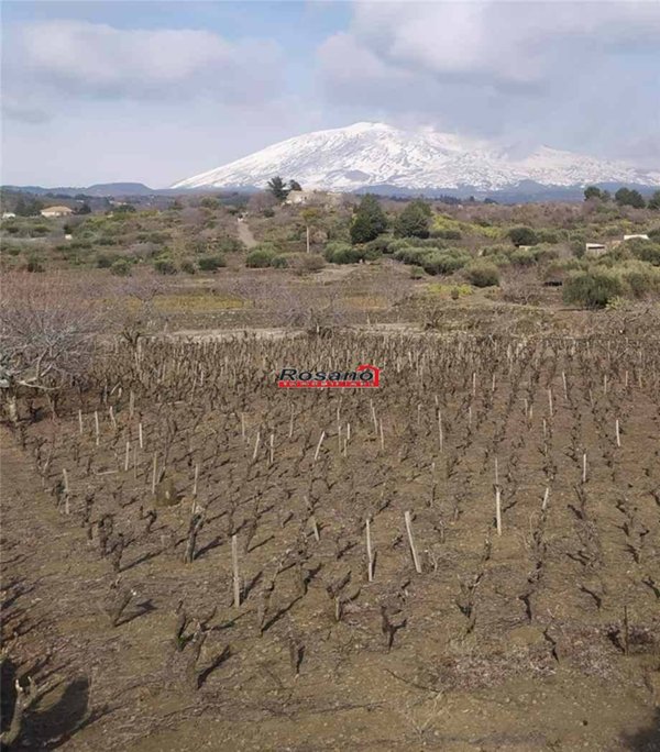 terreno agricolo in vendita a Biancavilla