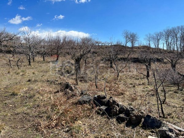 terreno agricolo in vendita a Biancavilla