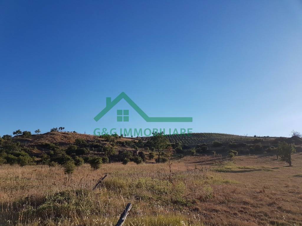 terreno edificabile in vendita a Bronte