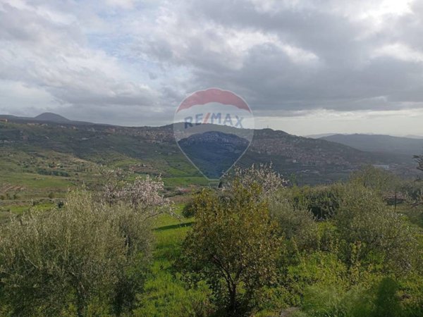 terreno agricolo in vendita a Bronte