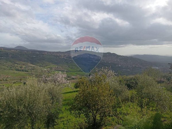 terreno agricolo in vendita a Bronte
