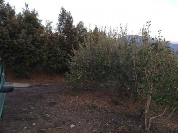 terreno agricolo in vendita a Bronte