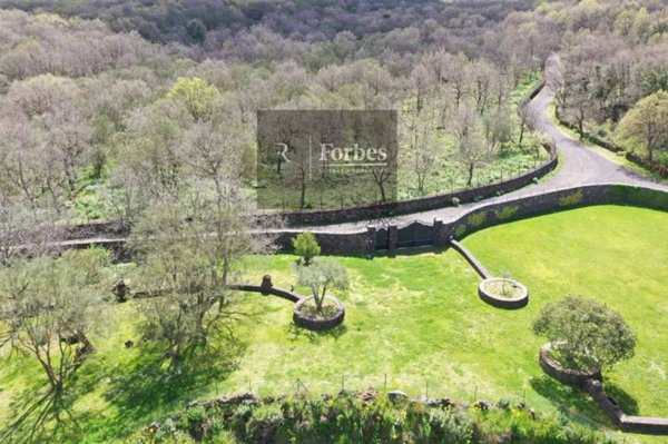 casa indipendente in vendita a Bronte