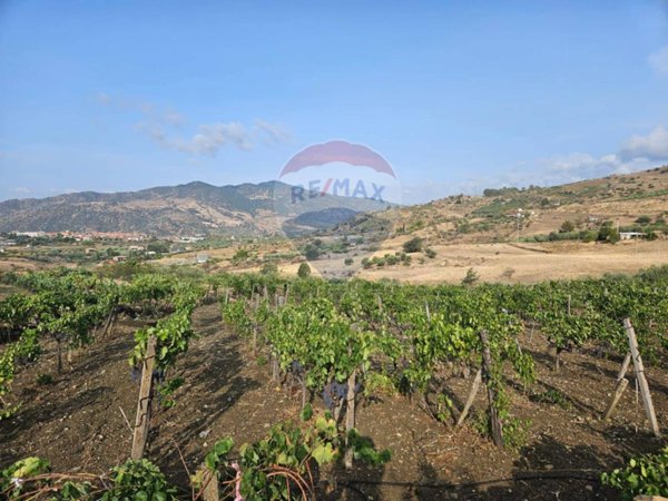 terreno agricolo in vendita a Bronte