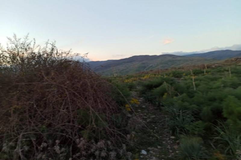 terreno edificabile in vendita a Bronte