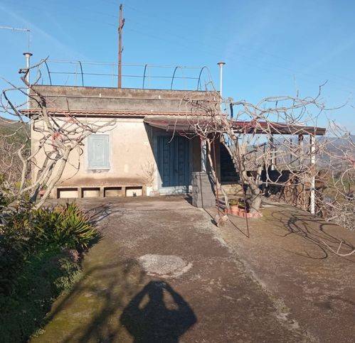 terreno agricolo in vendita a Bronte