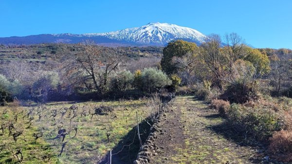 casa indipendente in vendita a Bronte