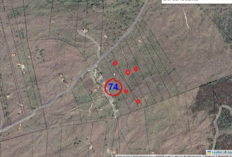 terreno agricolo in vendita a Bronte