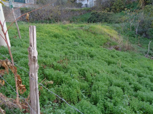 casa indipendente in vendita a Bronte