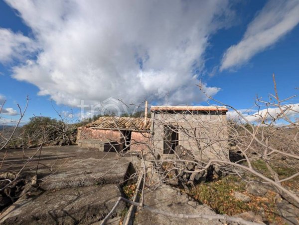 terreno agricolo in vendita a Bronte