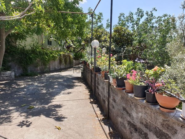 casa indipendente in vendita a Bronte