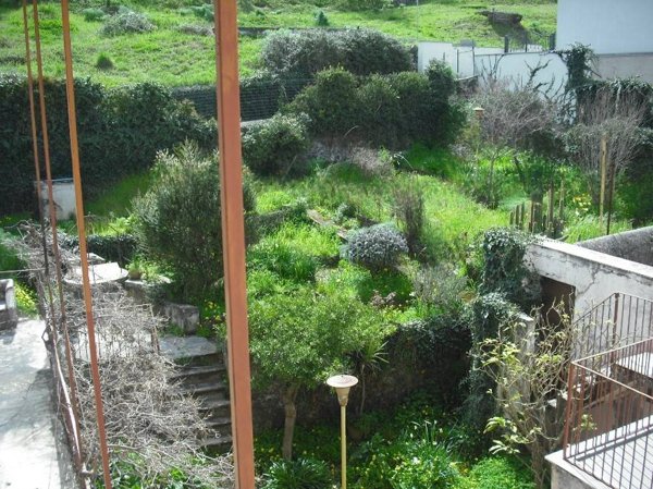 casa indipendente in vendita a Bronte