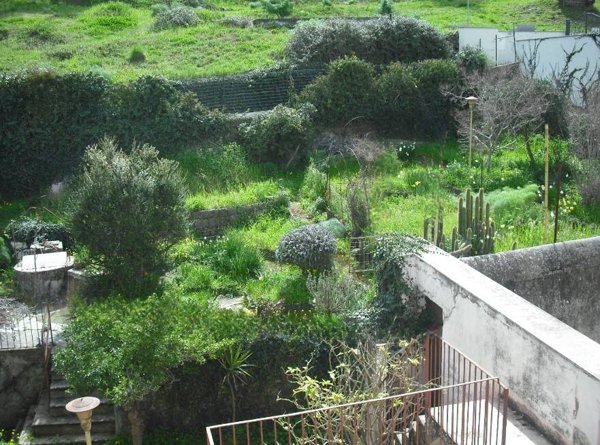 casa indipendente in vendita a Bronte