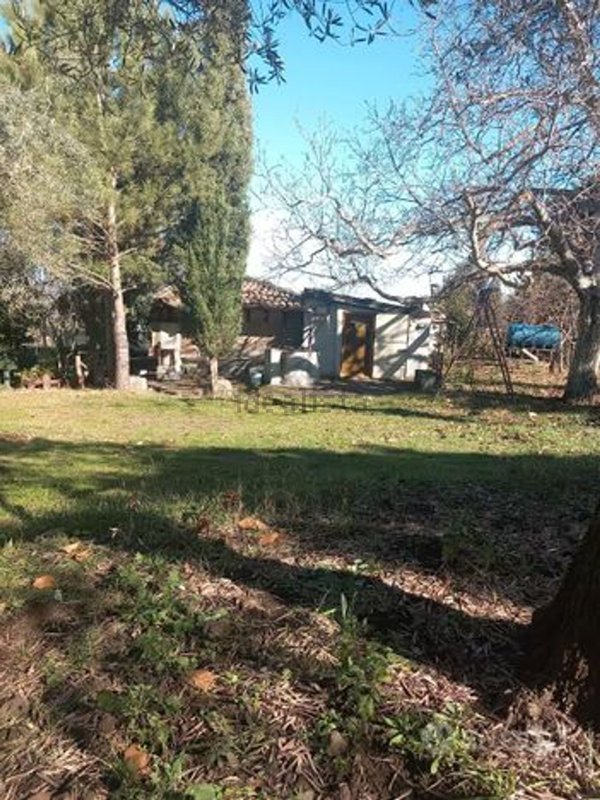 terreno agricolo in vendita a Bronte