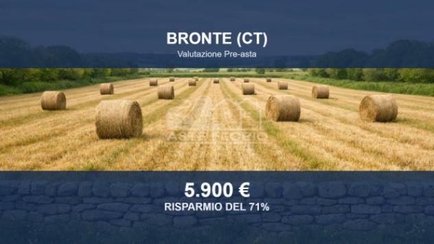 terreno agricolo in vendita a Bronte