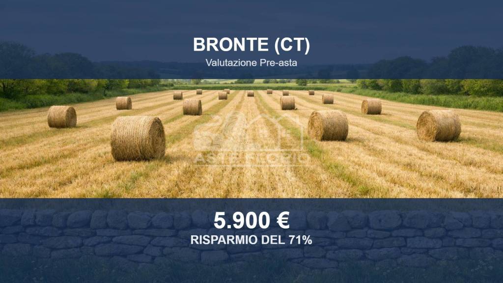 terreno agricolo in vendita a Bronte
