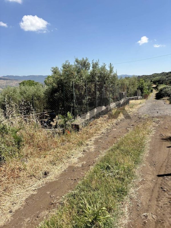 terreno agricolo in vendita a Bronte
