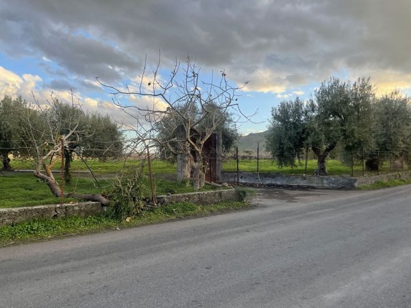 terreno in vendita a Bronte