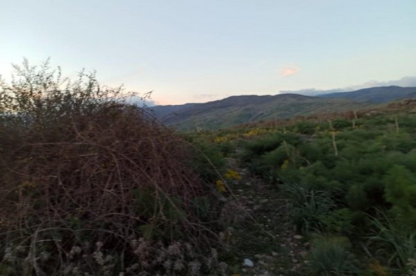 terreno in vendita a Bronte