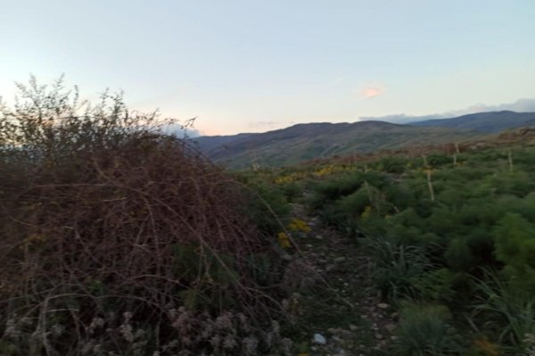 terreno agricolo in vendita a Bronte
